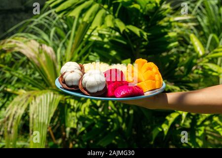 A girl in the green jungle is holding a plate with freshly cut and peeled tropical fruits. Stock Photo
