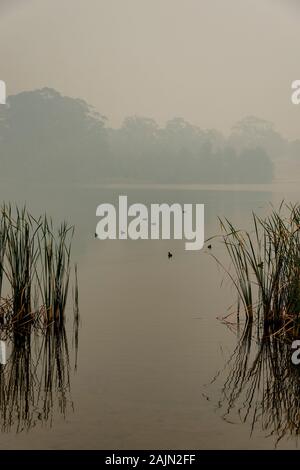 Bushfire smoke over Lake Burley Griffin, Canberra, Australia Stock ...
