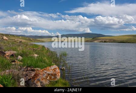 CO00156-00...COLORADO - Rock covered with orange colored lichen on shores of Upper Dome Lake in a state wildlife area located along the Great Divide. Stock Photo