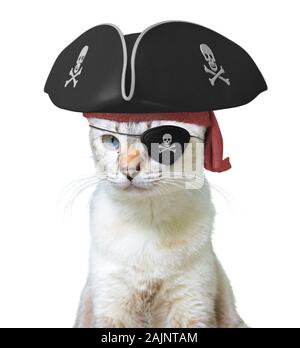 Funny animal costume of a cat pirate captain wearing a tricorn hat and eyepatch with skulls and crossbones, isolated on a white background