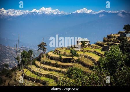 mountain range views behind terrace farms in Nagarkot, Nepal Stock Photo