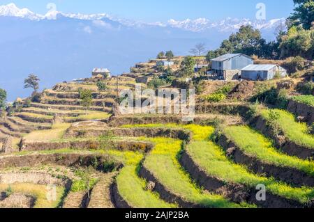 mountain range views behind terrace farms in Nagarkot, Nepal Stock Photo