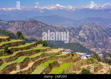 mountain range views behind terrace farms in Nagarkot, Nepal Stock Photo