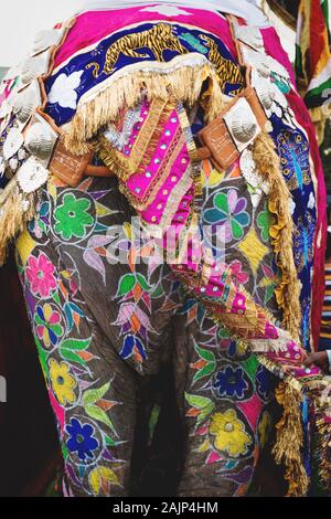 Close up of a colorful painted and decorated elephant back for Holi Elephant Festival in Jaipur, Rajasthan, India Stock Photo