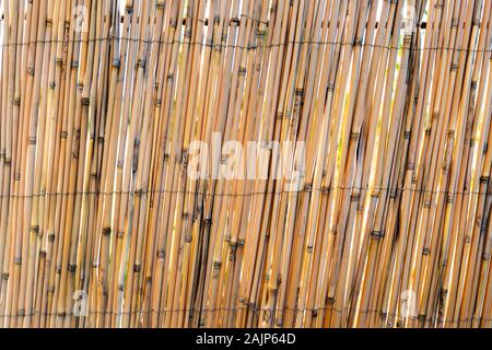 Abstract vertical stripes texture background. Seamless dry reeds pattern. Stock Photo