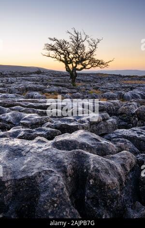 Pre-sunrise light produces a subtle glow on the rugged limestone textures of Twisleton Scar End in The Yorkshire Dales on a clear winter morning. Stock Photo
