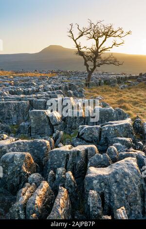 The first light of day highlights the rugged limestone textures of Twisleton Scar End in The Yorkshire Dales on a clear winter morning. Stock Photo