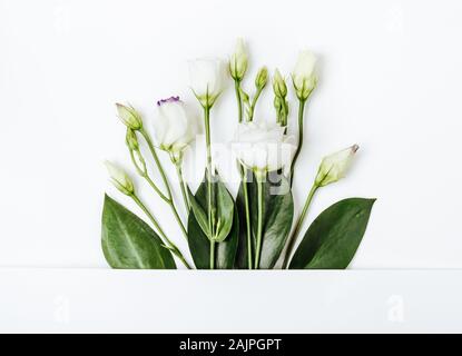 Creative layout made with white flowers on white background. Holiday minimal concept. Stock Photo