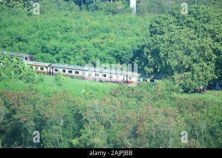 abandoned train box car in the forest Stock Photo