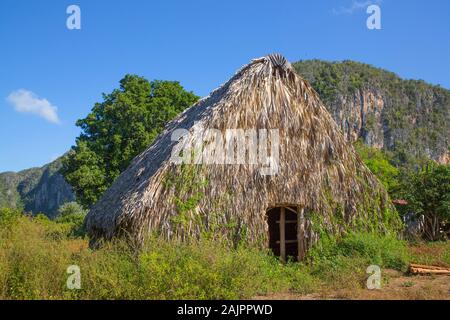 Casa de Tobacco (tobacco drying barn), Vinales Valley, UNESCO World  Heritage Site; Cuba Stock Photo