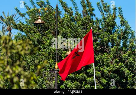 Morocco flag on a background of tree foliage, Marrakesh, Morocco. With selective focus Stock Photo