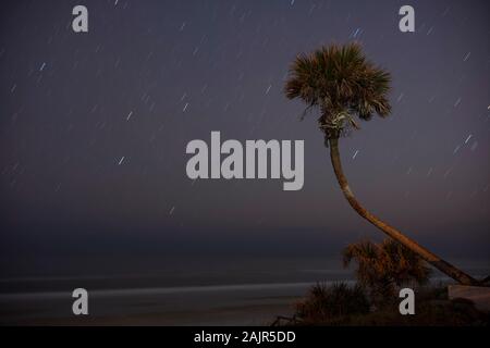 Star-trails are photographed at Daytona Beach, Florida, with a palm tree and a motion-blurred Atlantic Ocean in the foreground. Stock Photo