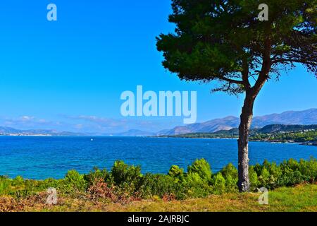 A stunning view across a pretty bay near Lassi, looking towards Argostoli, with mountains in the background.  Tree in foreground. Stock Photo