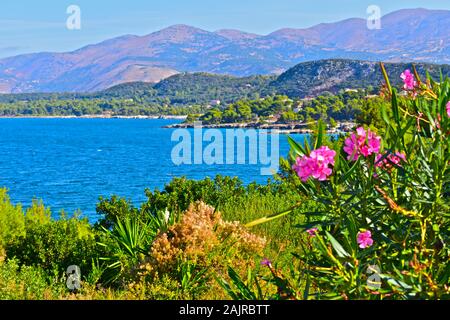 A stunning view across a pretty bay near Lassi, looking towards Argostoli, with mountains in the background.Beautiful pink wild flowers in foreground. Stock Photo