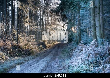 frozen black forest in germany near freiamt Stock Photo