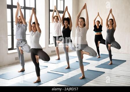 Diverse young people practicing yoga, standing in Tree pose Stock Photo
