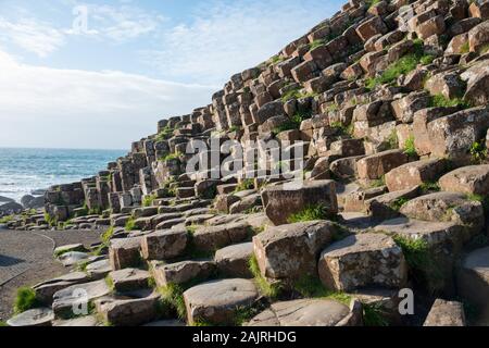 Giants Causeway, County Antrim, Nordirland, Grossbritannien , Basaltsaeulen, Stock Photo