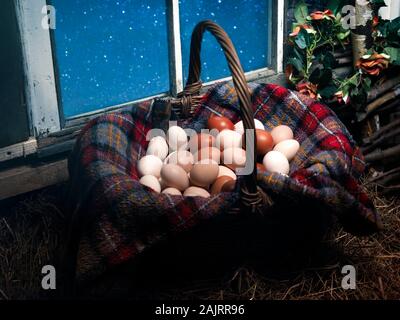 A lot of poultry eggs in the hayloft in the basket Stock Photo