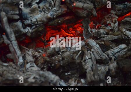Glowing embers in hot red color. The hot embers of burning wood log fire. Firewood burning on grill. Texture bonfire embers. Gray and red embers abstr Stock Photo