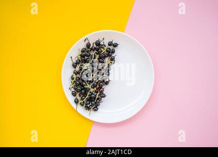 Fresh blackberries on clear white plate on pastel pik and yellow background. Stock Photo