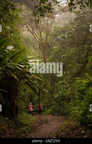 Monteverde,Puntarenas/Costa Rica-24 January,2019:young traveler hiking in Monteverde Claude forest