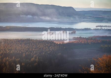 Layers of mist envelop a mixed pine and silver birch forest alongside farmland, Loch Leven National Nature Reserve, Scotland, UK. Stock Photo