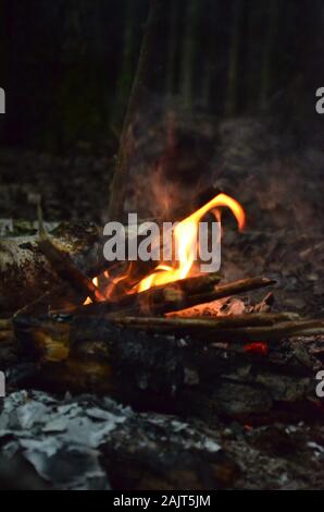 Glowing embers in hot red color. The hot embers of burning wood log fire. Firewood burning on grill. Texture bonfire embers. Gray and red embers abstr Stock Photo