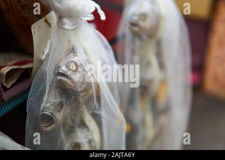Dried fish hanging up for sale at Gwangjang Market in Seoul, South Korea. Stock Photo