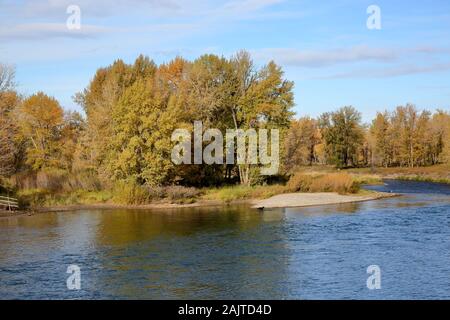 Bow River in autumn with trees in fall colors in Calgary Alberta Stock Photo