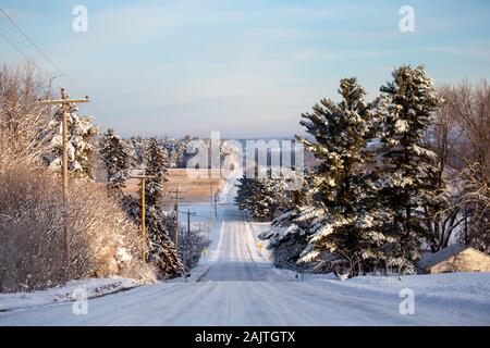 Deep snow covered corn field in central Wisconsin that has not been harvested yet on January 1, 2020 due to the wet autumn and early snow of 2019 Stock Photo