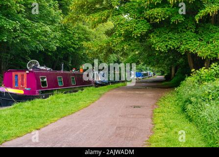 Narrow boats and barges on the Kennelworth and Avon Canal, Bradford On Avon, Wiltshire, UK Stock Photo