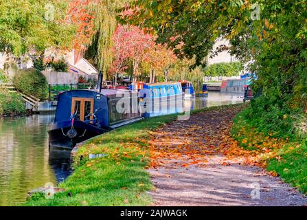 Narrow boats and barges on the Kennelworth and Avon Canal, Bradford On Avon, Wiltshire, UK Stock Photo