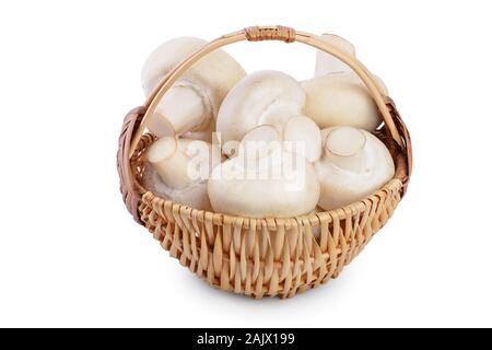 Fresh mushroom champignon in a wicker basket isolated on white background with clipping path Stock Photo