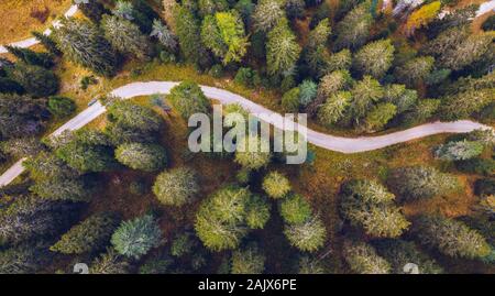 Scenic aerial view of a winding trekking path in a forest. Trekking path in the forest from above, drone view. Aerial top view of a trail in the middl Stock Photo