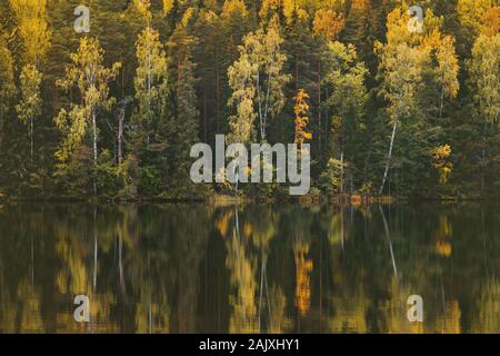 Autumn forest and lake reflection landscape in Finland Travel serene scenic view scandinavian woods wilderness nature trees background Stock Photo