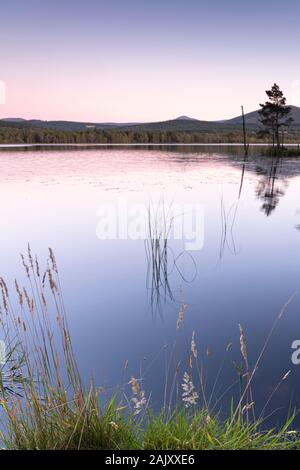 Evening on Loch Garten in the Highlands of Scotland. Stock Photo