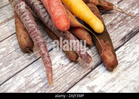 Fresh unwashed Heritage or Heirloom Carrots of assorted shapes on a kitchen worktop. Stock Photo