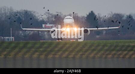 Hanover, Germany. 06th Jan, 2020. An airplane lands at Hanover Airport when a flock of birds flies past. Credit: Julian Stratenschulte/dpa/Alamy Live News Stock Photo