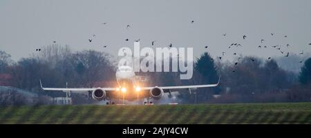 06 January 2020, Lower Saxony, Hanover: An airplane lands at Hanover Airport when a flock of birds flies past. Photo: Julian Stratenschulte/dpa Stock Photo