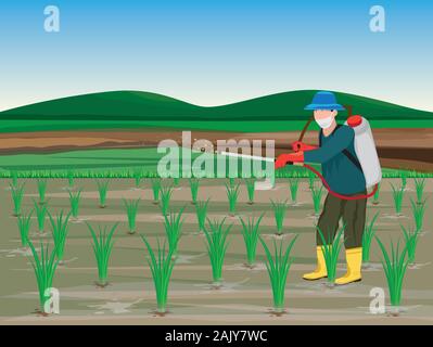 farmer manure into rice plant vector design Stock Vector