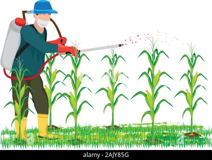 agriculturist spray manure into corn plant vector design Stock Vector