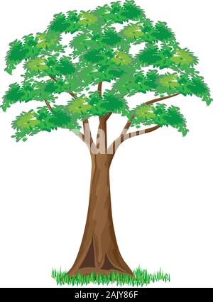 isolated green tree vector design Stock Vector Image & Art - Alamy