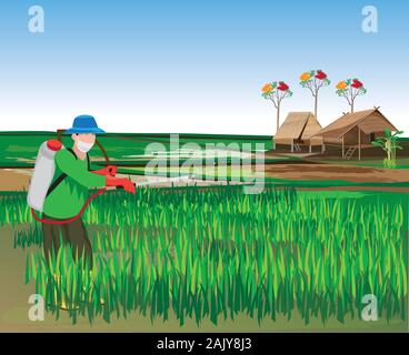 farmer manure into rice plant vector design Stock Vector