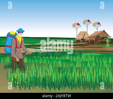 farmer manure into rice plant vector design Stock Vector