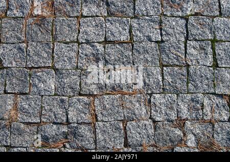 Granite blocks pavement in grid layout with moss growing between joints. Pine needles scattered around Stock Photo