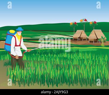 farmer manure into rice plant vector design Stock Vector