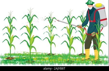 agriculturist spray manure into corn plant vector design Stock Vector