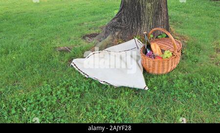 Outdoor picnic at sunny day Picnic basket with bottle of red wine, baguette, white and black grapes and apples Stock Photo