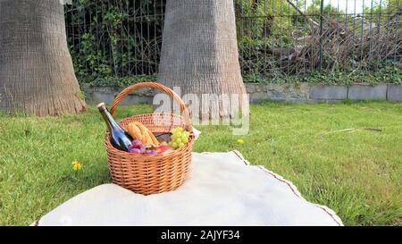 Outdoor picnic at sunny day Picnic basket with bottle of red wine, baguette, white and black grapes and apples Stock Photo