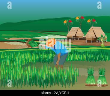 farmer work in paddy field vector design Stock Vector Image & Art - Alamy